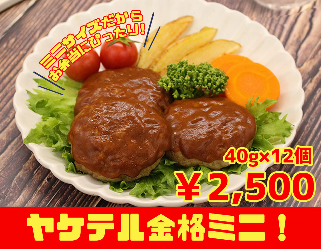 3種のハンバーグセット