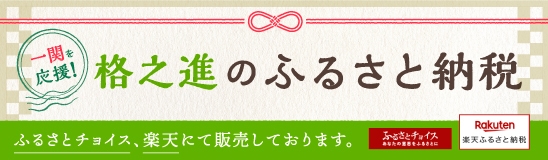 ふるさと納税・ふるさとチョイス