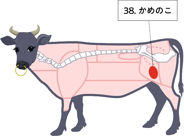 牛肉の部位 かめのこ の肉言葉 熟成肉の格之進