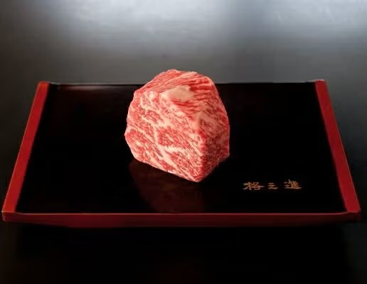 門崎熟成肉 サーロイン 塊焼き 240g（120g×1個）
