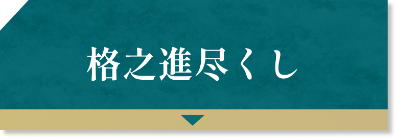 格之進尽くし
