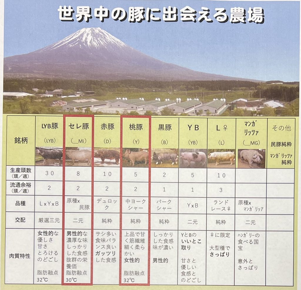 獣医師であり種豚メーカー桑原さんの豚愛 | 熟成肉の格之進
