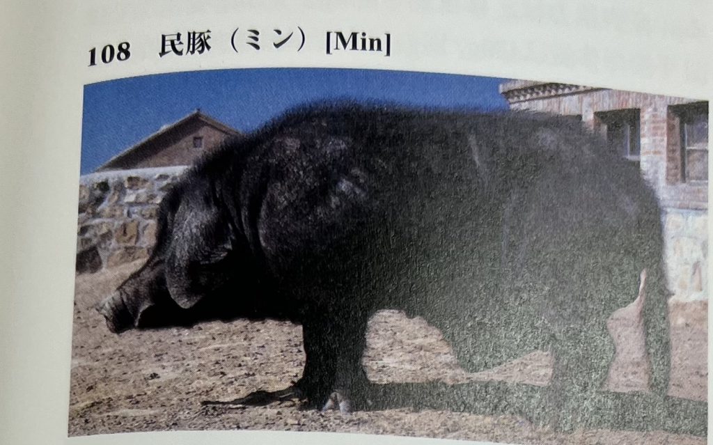 獣医師であり種豚メーカー桑原さんの豚愛 | 熟成肉の格之進