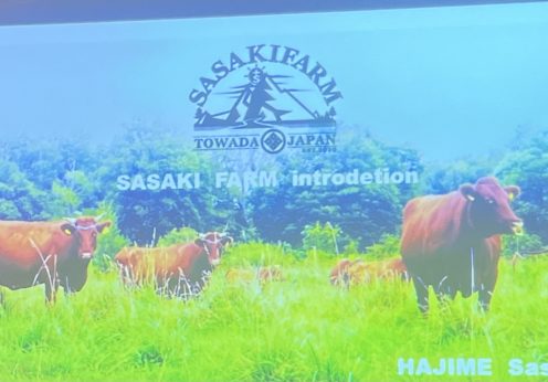 日本短角種経産牛放牧肥育〜SASAKIFARMの赤身肉への挑戦