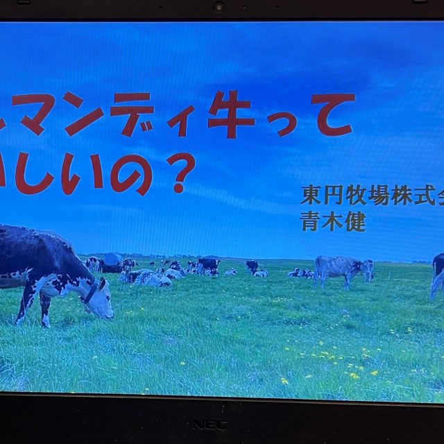 ���{�ŗB��̃m���}���f�B�푽������q��@�u���~�q��(�l����)�̌o�c�헪�Ɋw�ԁv