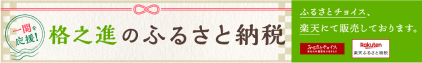 格之進のふるさと納税